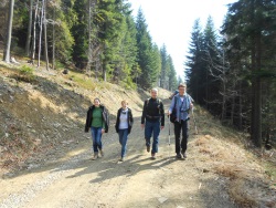 W drodze na Mogielice