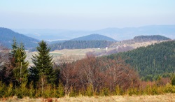 W drodze na Mogielice