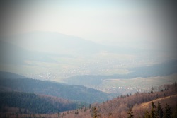 W drodze na Mogielice