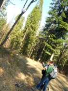 W drodze na Mogielice – poszukiwania szlaku