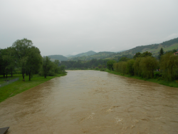 Grupa 33 w Piwnicznej
