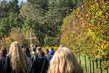 Październikówka 2014 Grupy 33