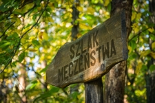 Październikówka 2014 Grupy 33
