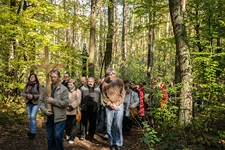 Październikówka 2014 Grupy 33