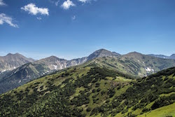 Wyprawa na Grzesia