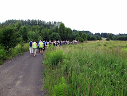 Częstochowa A.D. 2015