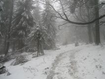 2021_02_27_KR_Beskid_Wyspowy