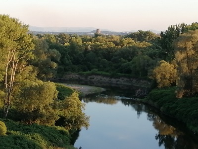 kajaki